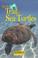 Cover of: On the trail of sea turtles