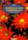 Cover of: 500 Popular Annuals & Perennials for American Gardeners