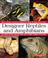 Cover of: Designer Reptiles and Amphibians