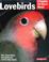 Cover of: Lovebirds