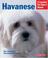 Cover of: The Havanese