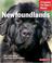 Cover of: Newfoundlands (Complete Pet Owner's Manual)