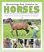 Cover of: Breaking Bad Habits in Horses