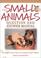 Cover of: The small animals question and answer manual