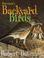 Cover of: Bateman's Backyard Birds