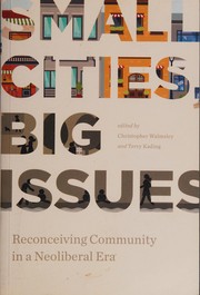 Cover of: Small Cities, Big Issues: Reconceiving Community in Neoliberal Era