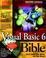 Cover of: Visual Basic® 6 Bible