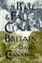 Cover of: The rise and fall of class in Britain