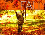 Cover of: Fall