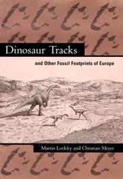 Cover of: Dinosaur Tracks and other Fossil Footprints of Europe