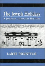 Cover of: The Jewish Holidays: A Journey through History