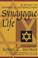 Cover of: Synagogue life
