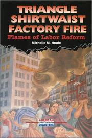 Cover of: Triangle Shirtwaist Factory fire by Michelle M. Houle