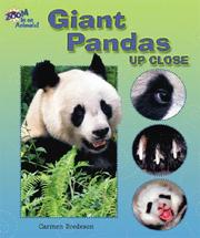 Cover of: Giant pandas up close