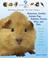 Cover of: Hamsters, Gerbils, Guinea Pigs, Rabbits, Ferrets, Mice, and Rats