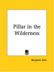 Cover of: Pillar in the Wilderness by Benjamin John
