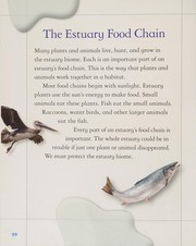 Cover of: Life in Estuaries