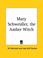 Cover of: Mary Schweidler, the Amber Witch
