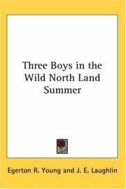 Cover of: Three Boys in the Wild North Land Summer | Egerton R. Young