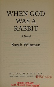 Cover of: When God Was a Rabbit: A Novel