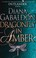 Cover of: Dragonfly In Amber