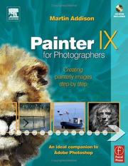 Painter IX for photographers by Martin Addison