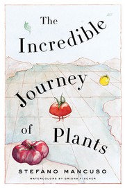Cover of: Incredible Journey of Plants