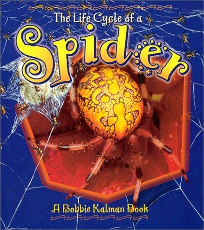 The Life Cycle of a Spider (The Life Cycle) by Bobbie Kalman, Kathryn Smithyman