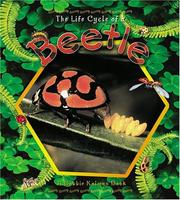 Cover of: The Life Cycle of a Beetle (Life Cycle)