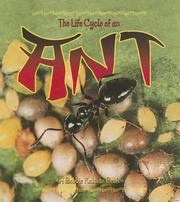 Cover of: The life cycle of an ant
