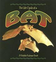 Cover of: The life cycle of a bat by Rebecca Sjonger