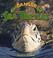 Cover of: Endangered Sea Turtles (Earth's Endangered Animals)