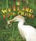 Cover of: Wetland Food Chains