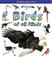 Cover of: Birds Of All Kinds (What Kind of Animal Is It?)