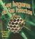 Cover of: Los Hogares De Los Insectos/ Insect Homes (El Mundo De Los Insectos)