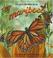 Cover of: El Ciclo De Vida De La Mariposa / Life Cycle of a Butterfly (Ciclo De Vida/the Life Cycle)