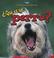 Cover of: Que Es Un Perro?/what Is a Dog (La Ciencia De Los Seres Vivos/Science of Living Things (Spanish))