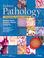 Cover of: Rubin's Pathology