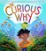 Cover of: Curious Why