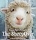 Cover of: The sheepover