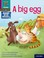 Cover of: A Big Egg