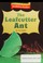 Cover of: Houghton Mifflin Vocabulary Readers
