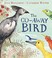 Cover of: Go-Away Bird