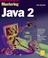 Cover of: Mastering Java 2