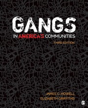 Cover of: Gangs in America's Communities by Howell, James C., Elizabeth A. Griffiths