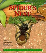 Cover of: Spider's nest