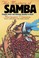 Cover of: The mystery of samba