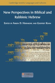 Cover of: New Perspectives in Biblical and Rabbinic Hebrew