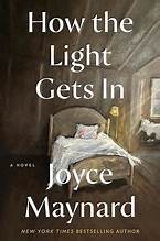 Cover of: How the Light Gets In: A Novel