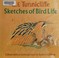 Cover of: Sketches of bird life